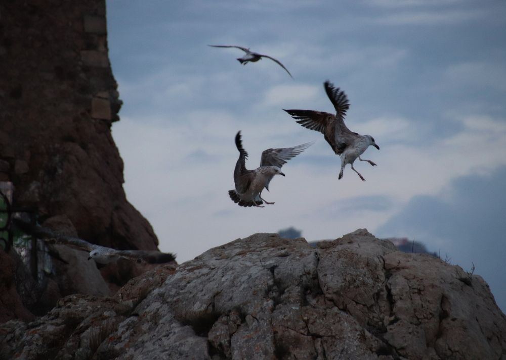 Photograph by Наталья Стальмакова