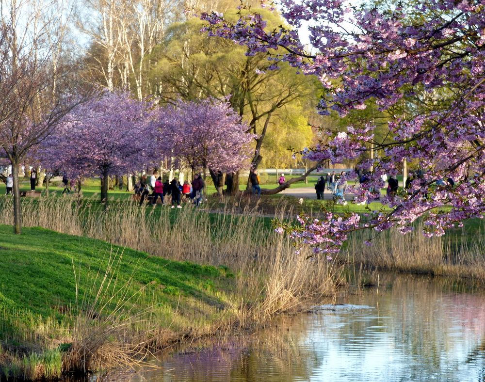 Photograph by Pjotr Alekseev