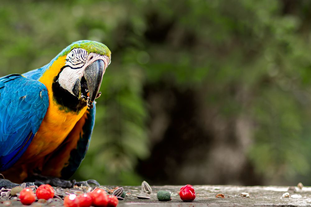 Photograph by Marcia Camargo