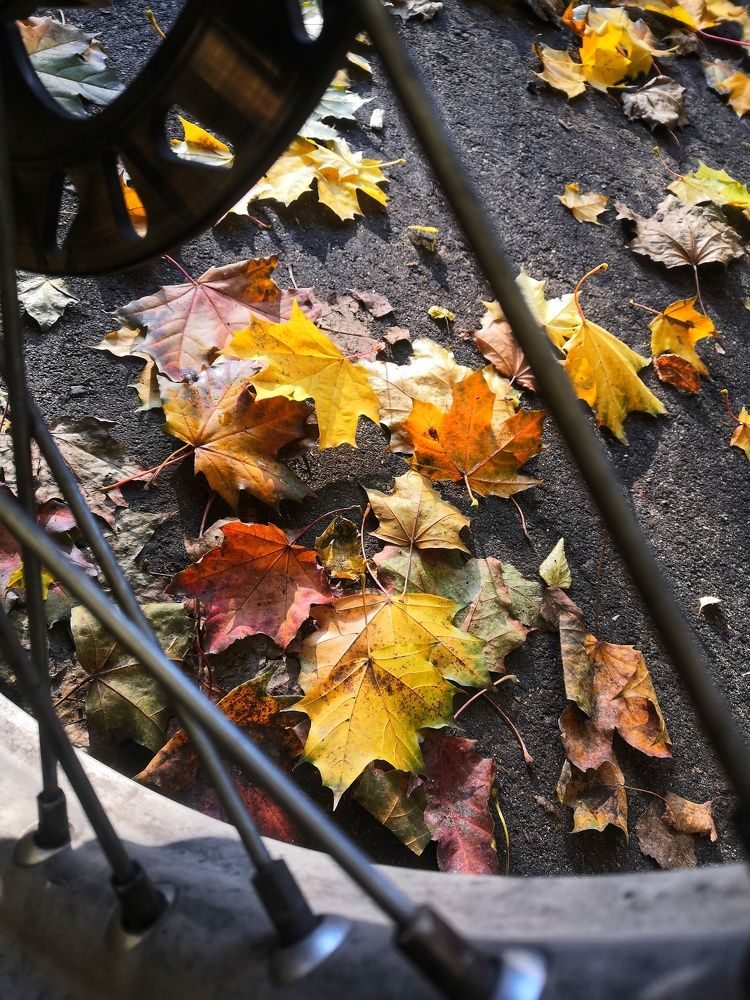 Photograph by Вадим Сташкевич