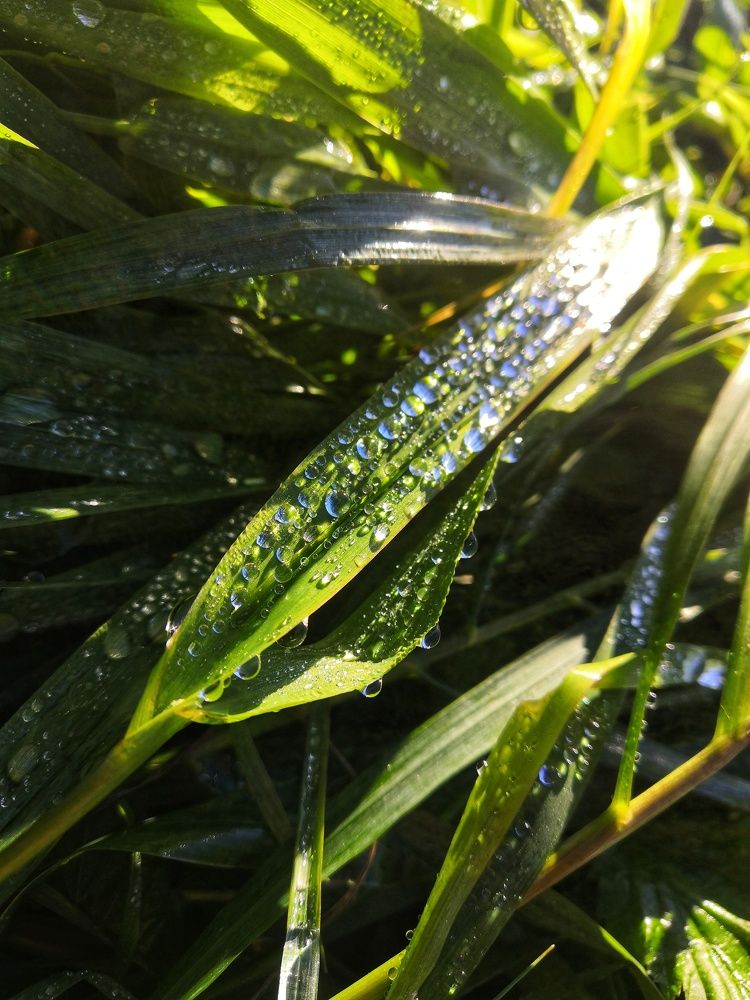 Photograph by Вадим Сташкевич