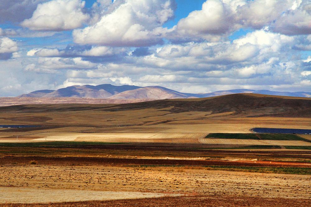 Photograph by Kristina Aslamazishvili