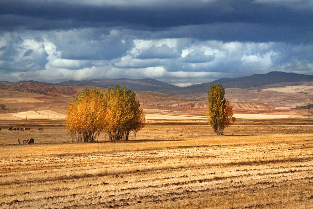 Photograph by Kristina Aslamazishvili
