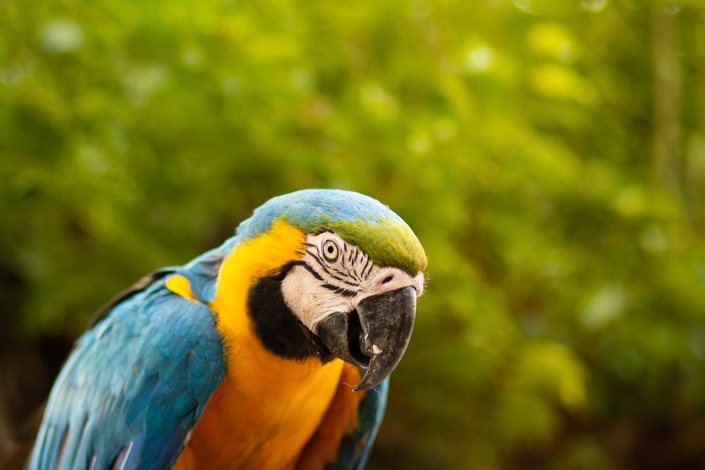 Photograph by Marcia Camargo