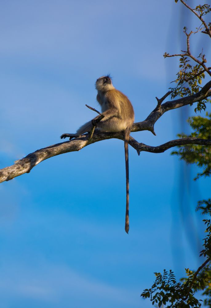 Фотография автора PriyaRajendran