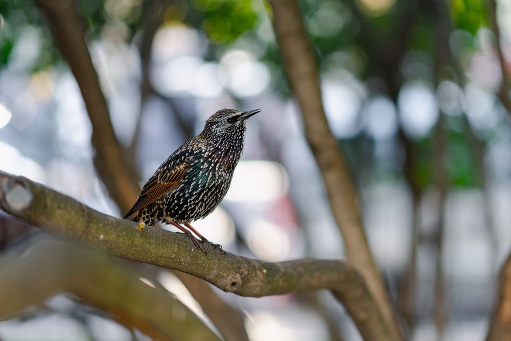 Photograph by Анна Чеснокова