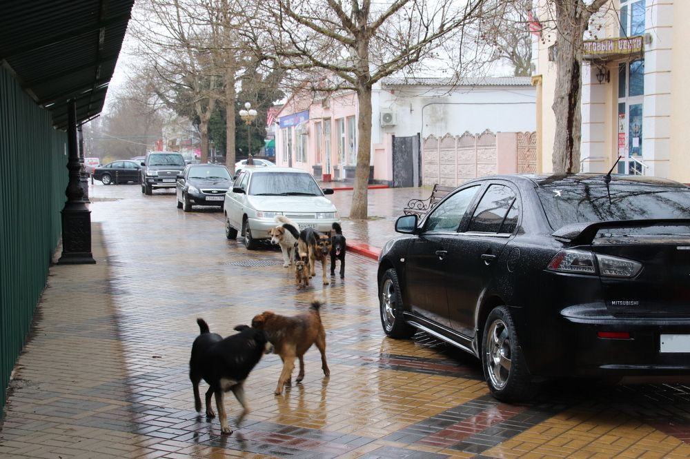 Photograph by Наталья Стальмакова