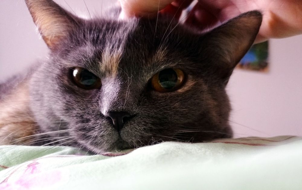 Photograph by Наталья Стальмакова