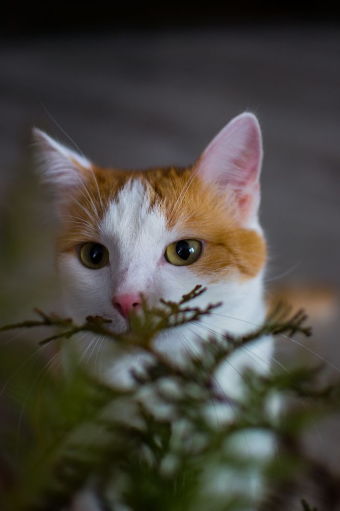 Photograph by Ksenia Paramonova