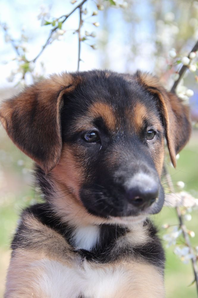 Фотография автора Наталья Боярина