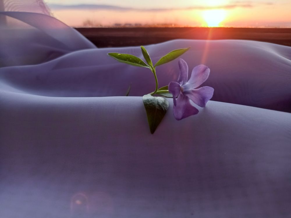 Photograph by Наталья Стальмакова