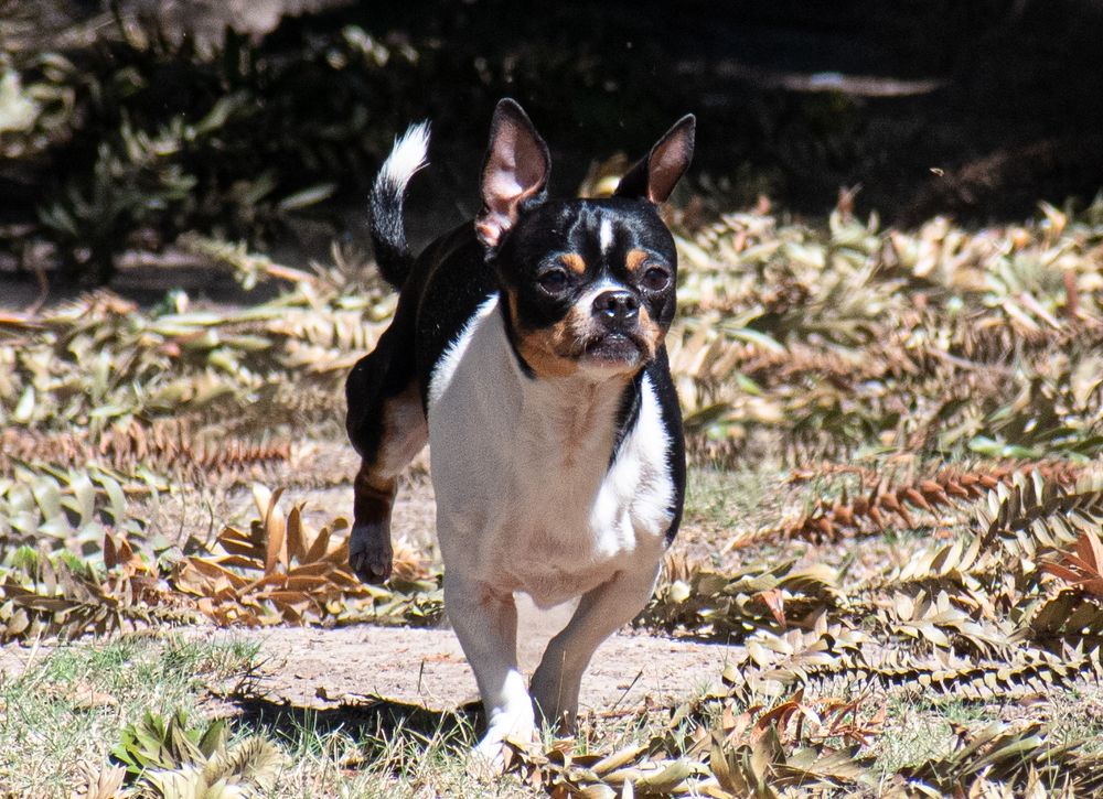 Фотография автора Liliana Cancino Abregu