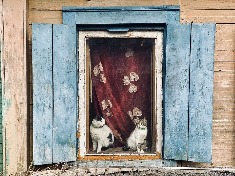 Photograph by Yuliya Khramova