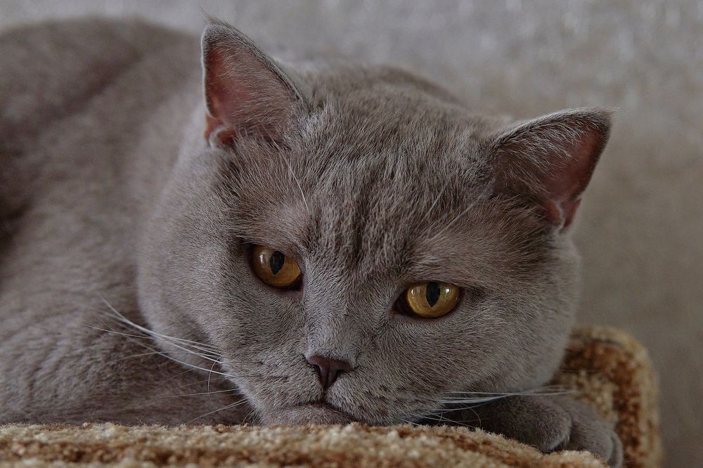 Photograph by Yuliya Khramova