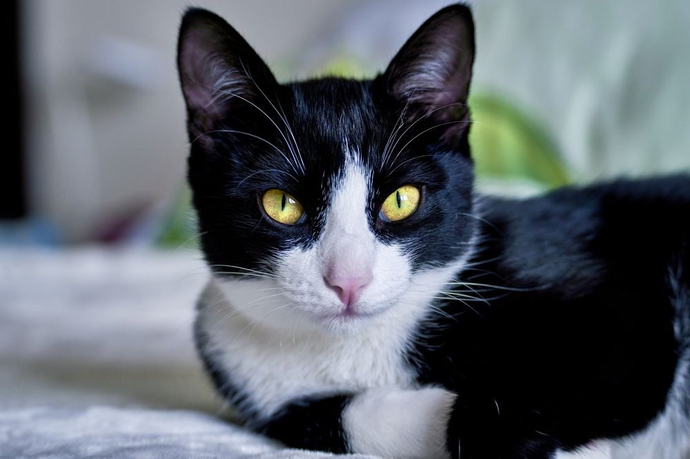 Photograph by Yuliya Khramova