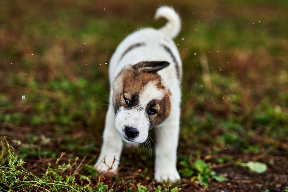 Photograph by Yuliya Khramova