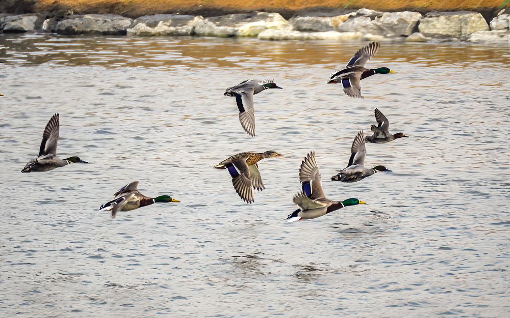 Photograph by Myunggyu Bae