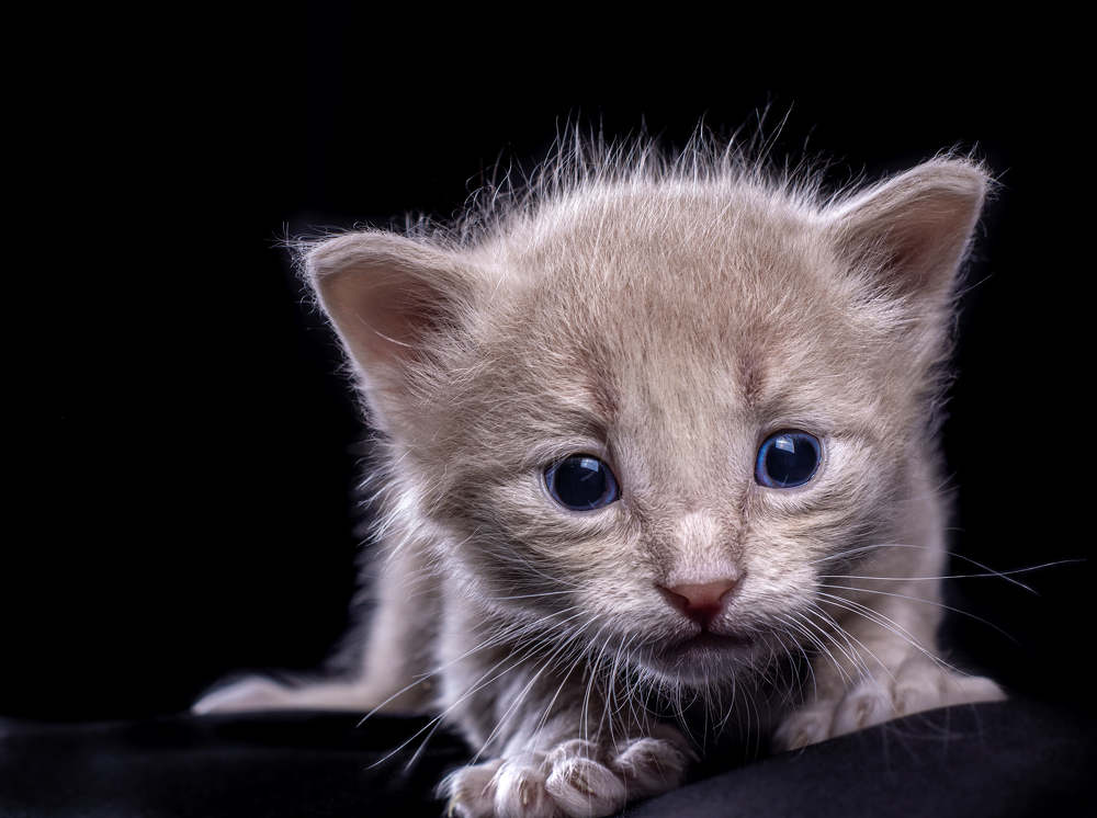 Photograph by Youness Fakoiallah