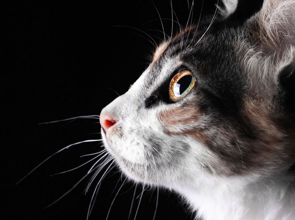 Photograph by Youness Fakoiallah