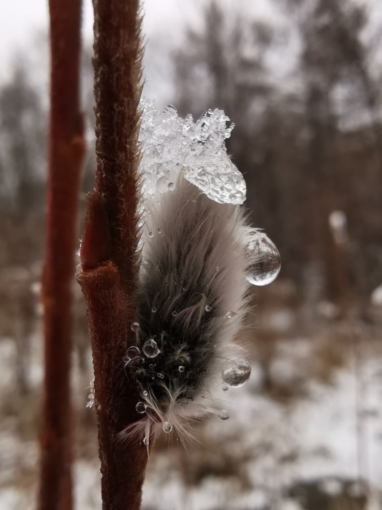 Photograph by Мария Маханько