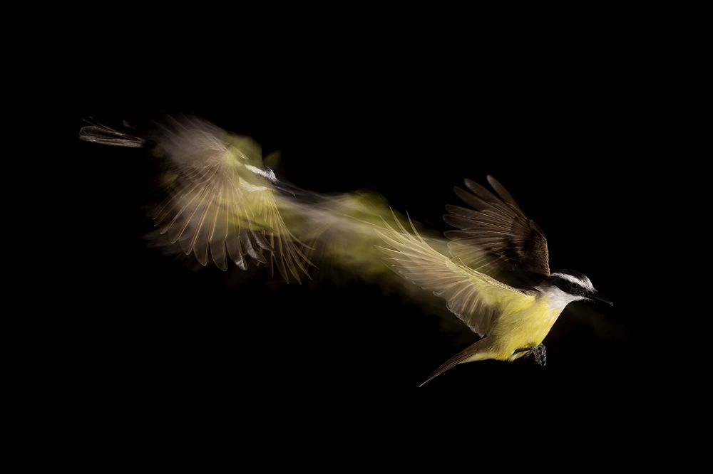 Photograph by Esteban Argerich