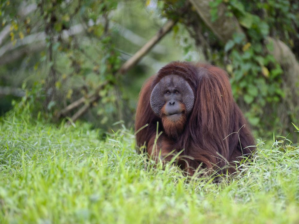Photograph by Raffi Akbar