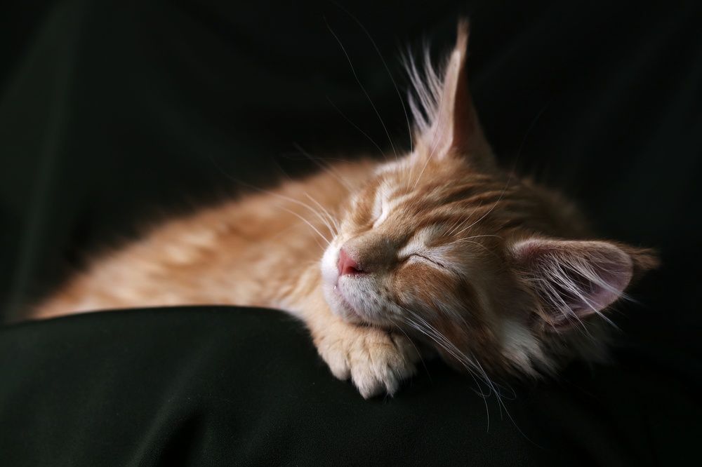 Photograph by Марина Савченко