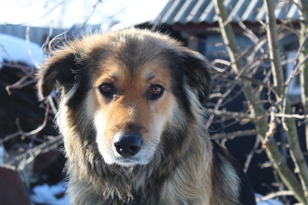 Photograph by Елена Калганова