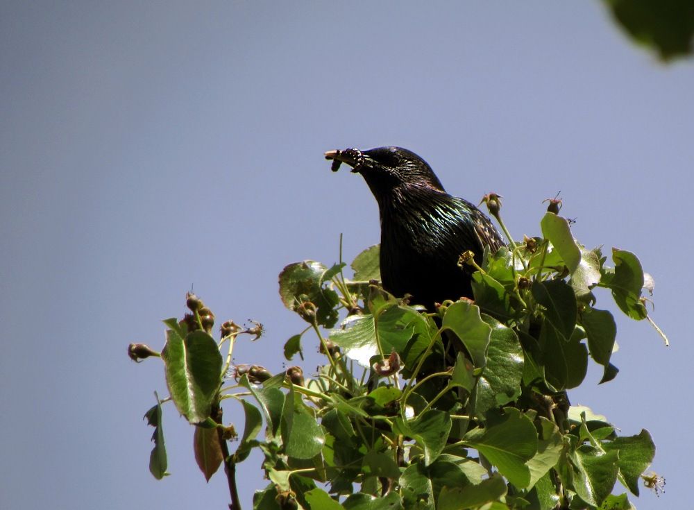 Photograph by Елизавета Большакова