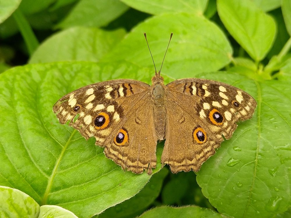 Photograph by sumit sitole