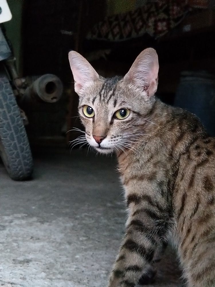 Photograph by sumit sitole