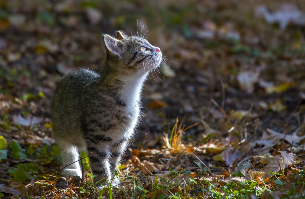 Photograph by Курлянцев Алексей