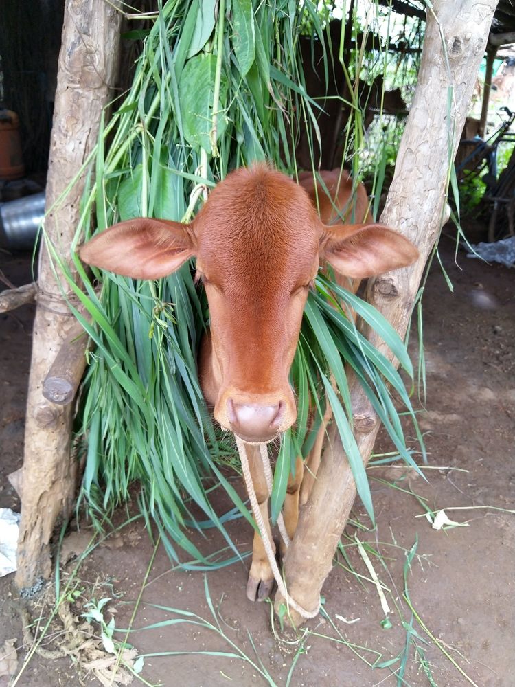 Photograph by sumit sitole