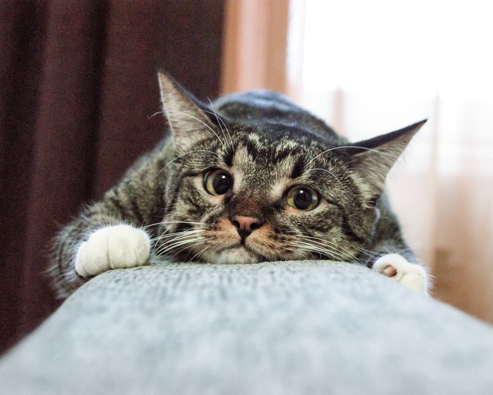 Photograph by Юлия Иванова