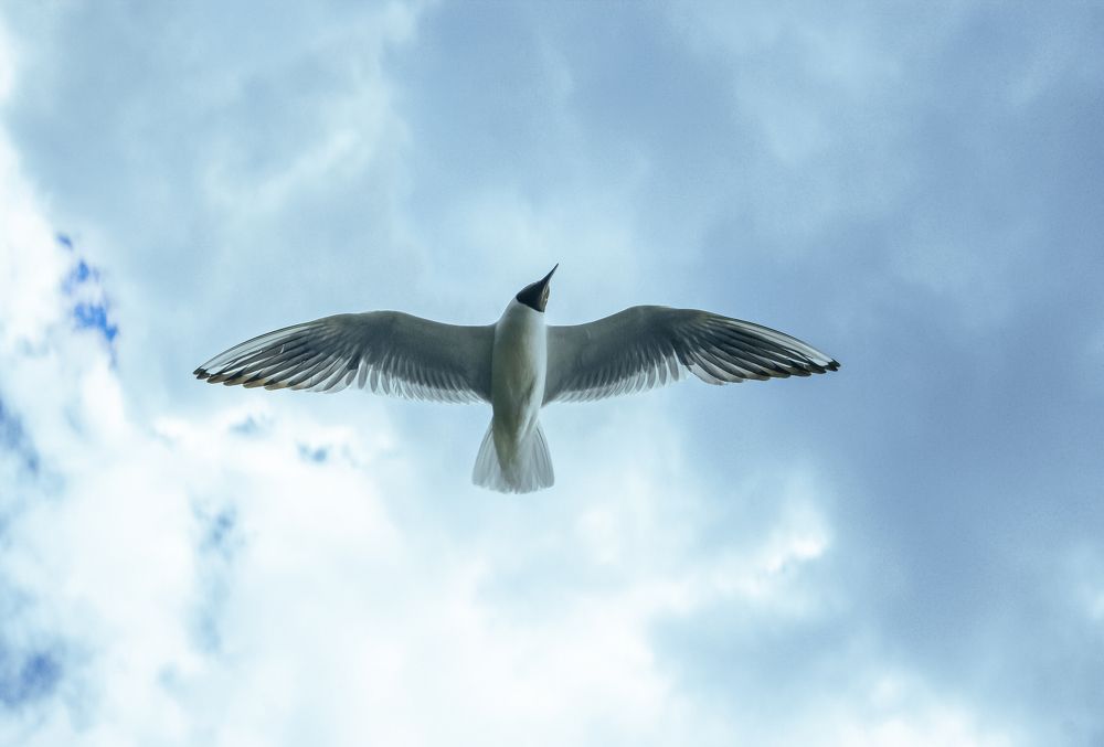 Photograph by Юлия Иванова