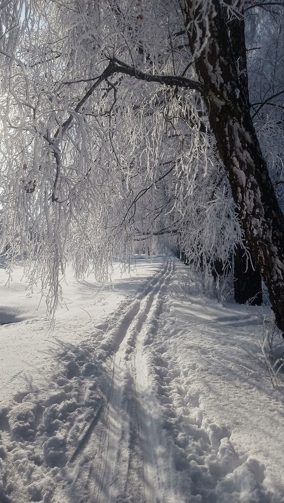 Photo #7537567