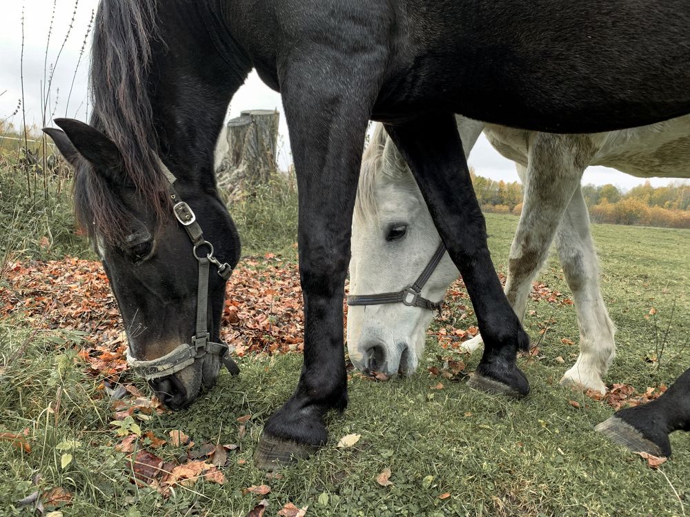 Photograph by Юлия Иванова