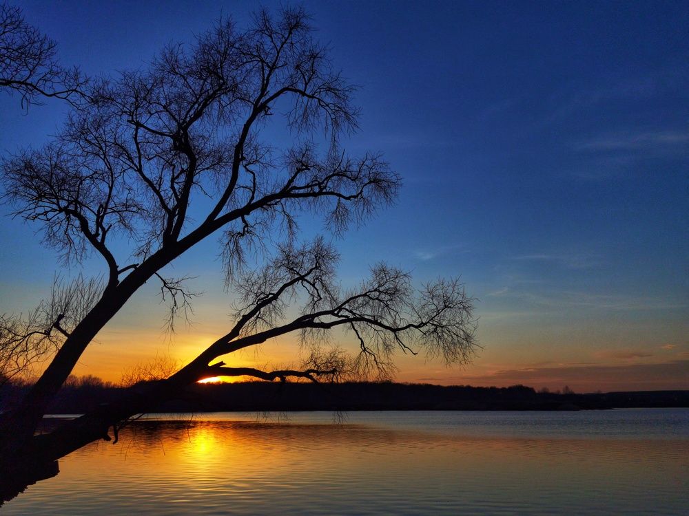 Photograph by Сафронов Александр