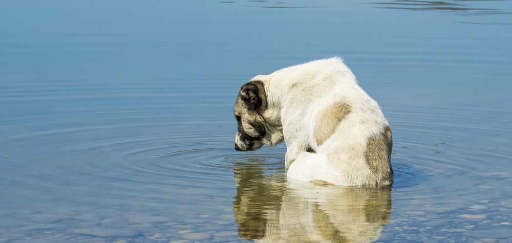 Photograph by Alex Kalpus