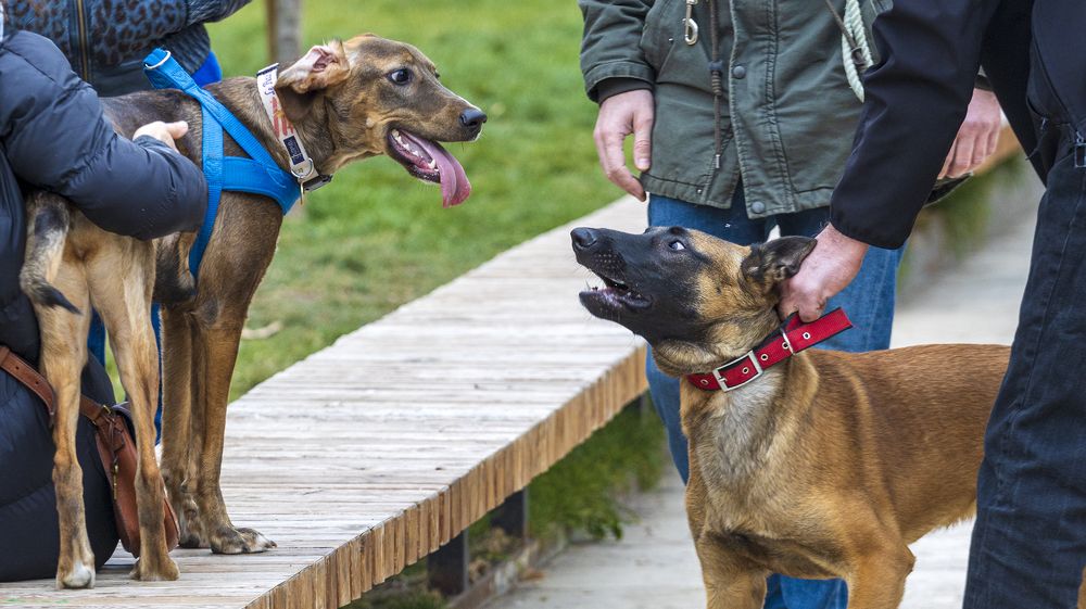 Photograph by Alex Kalpus