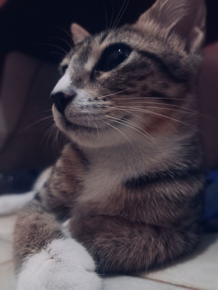 Photograph by Ansyah Badri