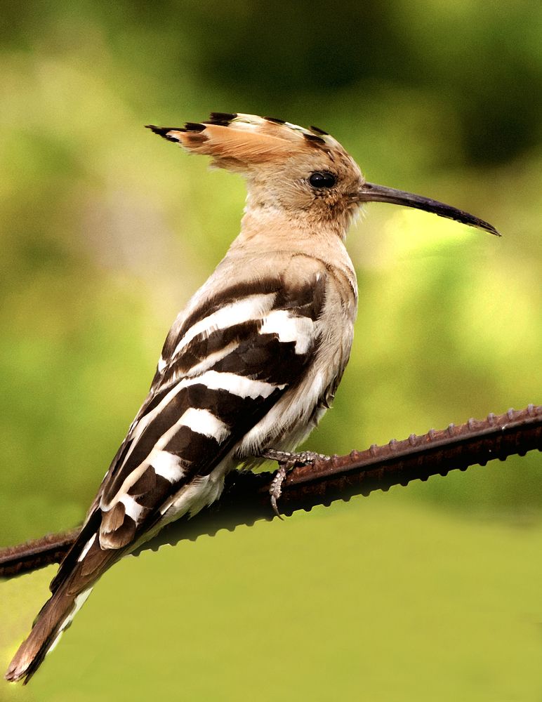 Photograph by Сергей Балухта