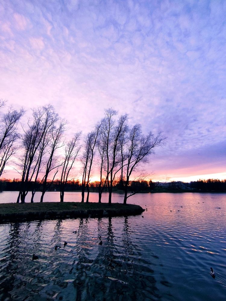 Photograph by Ксения Щеголева