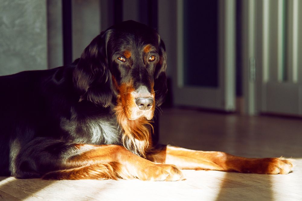 Photograph by Александра Панина