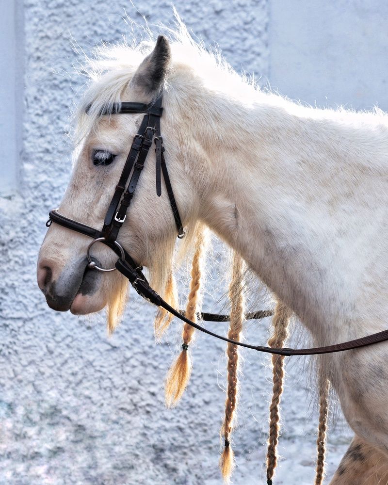 Photograph by Елена