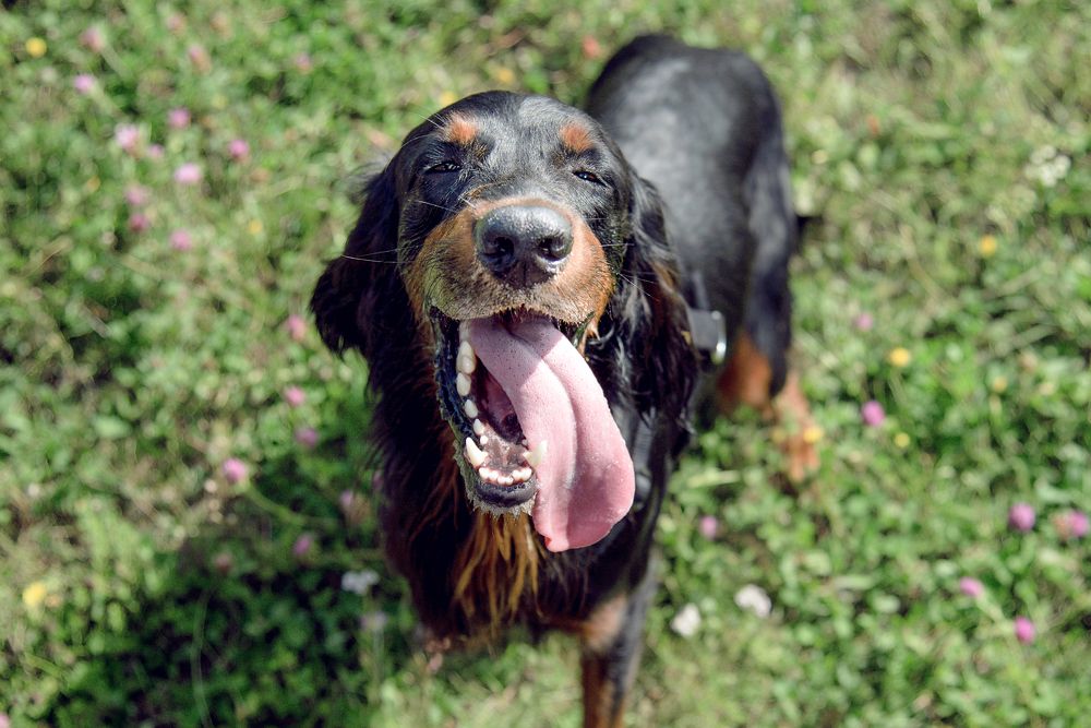 Photograph by Александра Панина