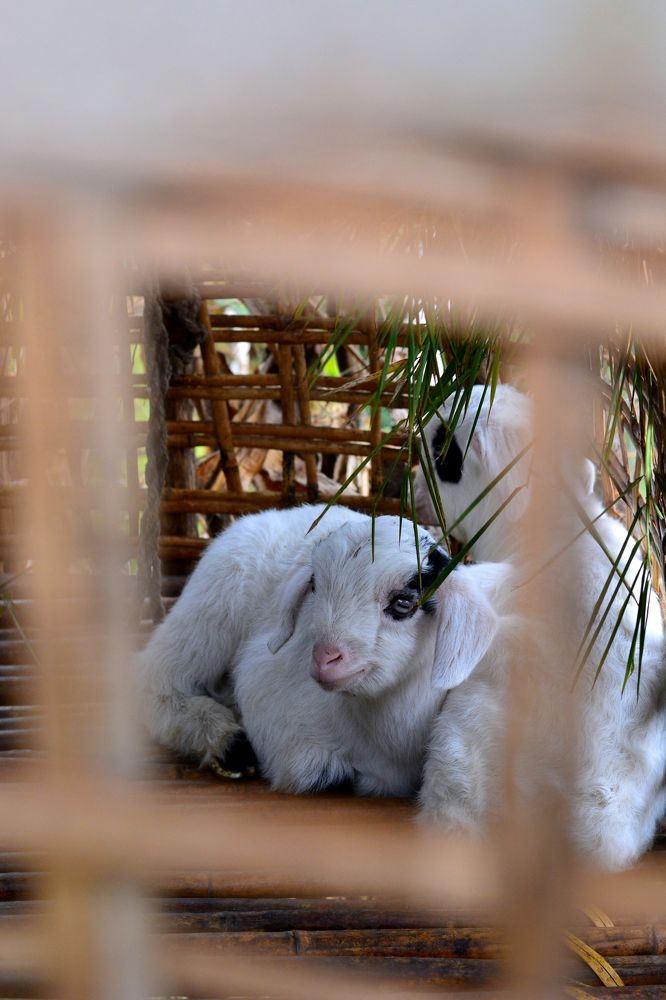 Photograph by Анатолий Орлов