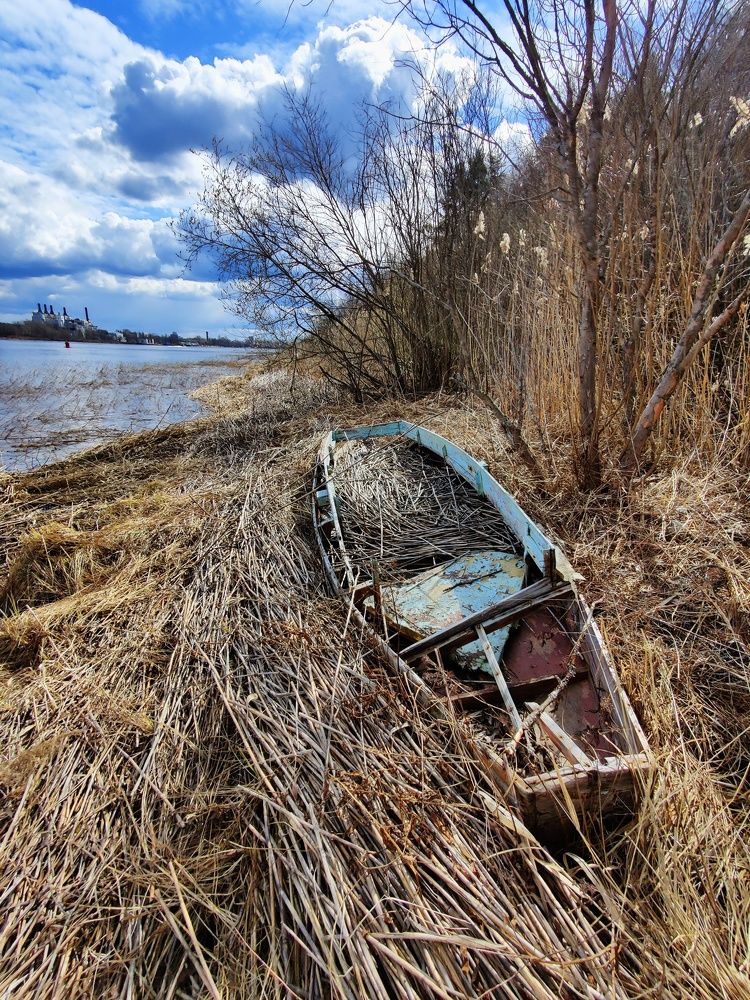 Photograph by Анатолий Буянов