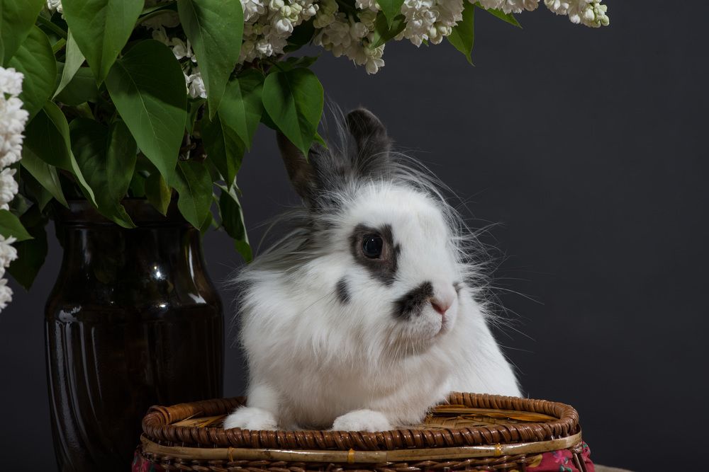 Photograph by Rimma Volchenko