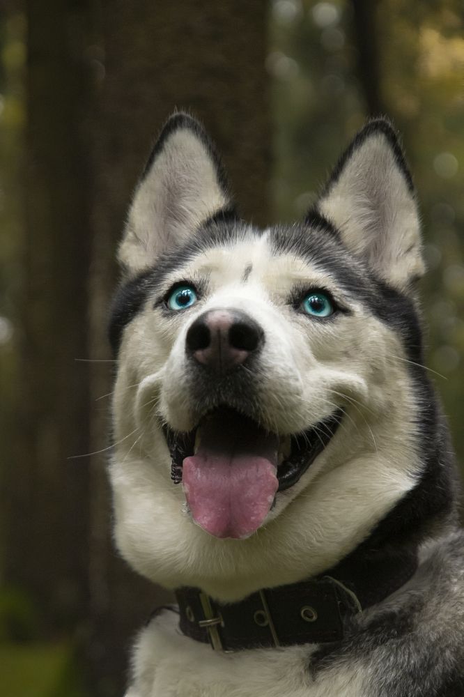 Photograph by Владислав Барышов